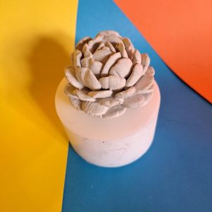 قالب سیلیکونی گل داوودی