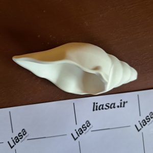 قالب سیلیکونی صدف