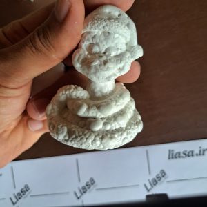 قالب سیلیکونی مار کلاه دار