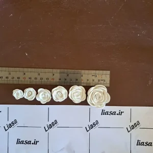 قالب گل رز 6 تایی
